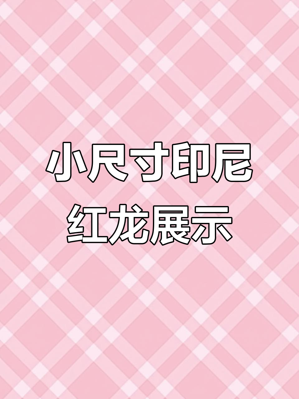 印尼红龙鱼:从小到大的成长变化,细节决定品质
