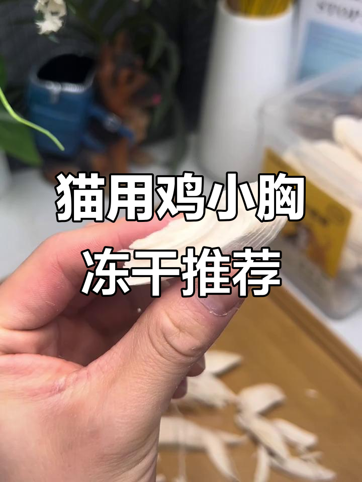 猫咪磨牙又增肥，鸡小胸冻干必备