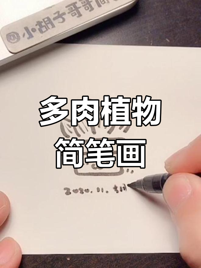 画出可爱多肉植物,手帐必备小盆栽