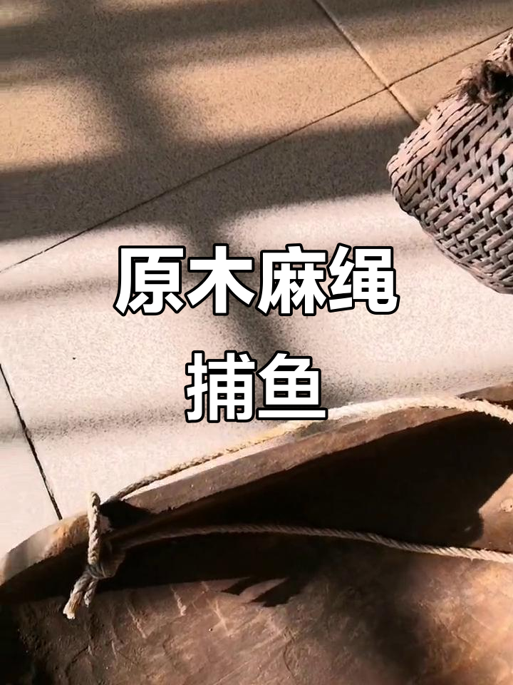 罕见原木麻绳捕鱼工具,见证农村传统工艺