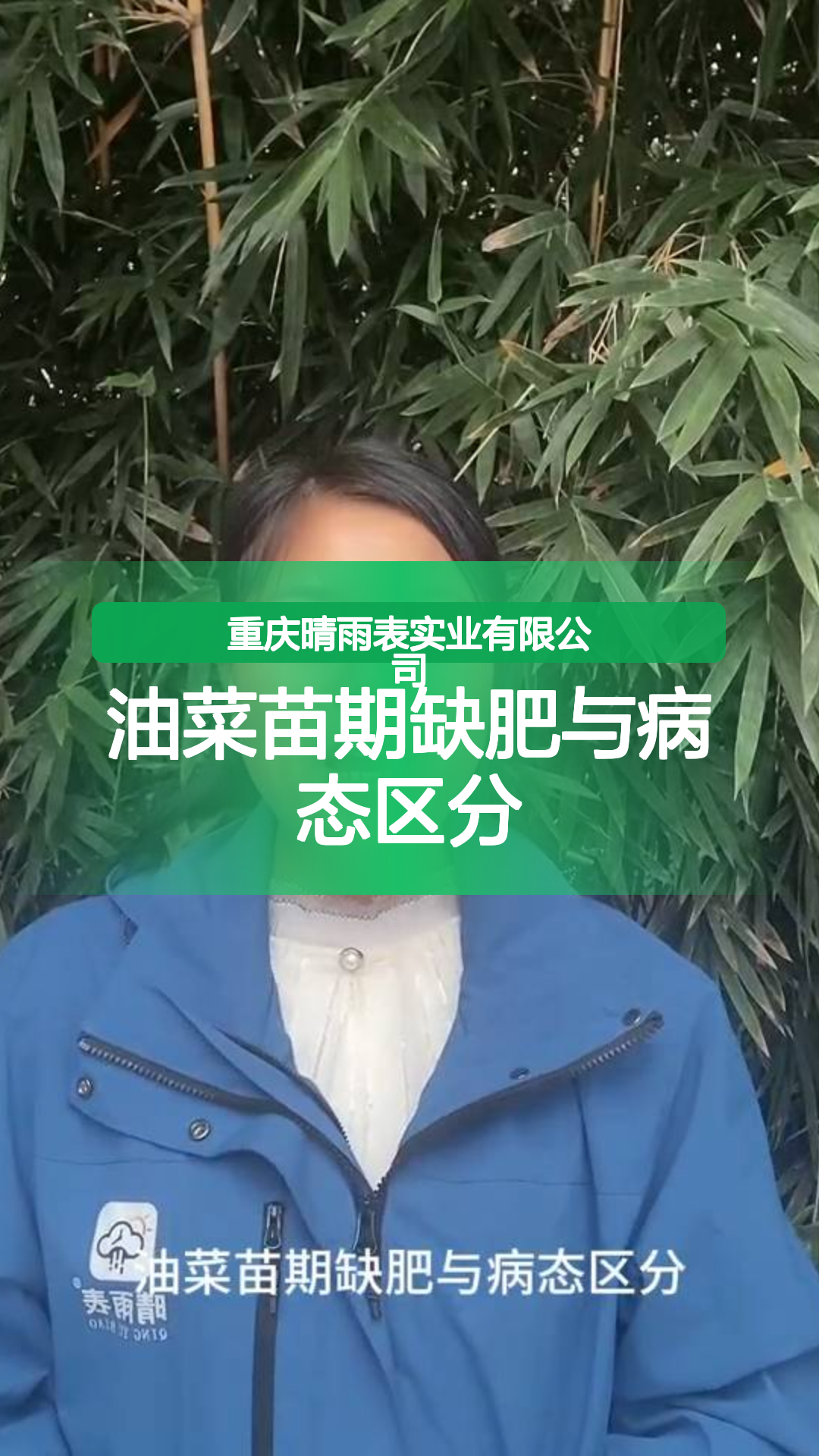 油菜苗期缺肥与病态区分