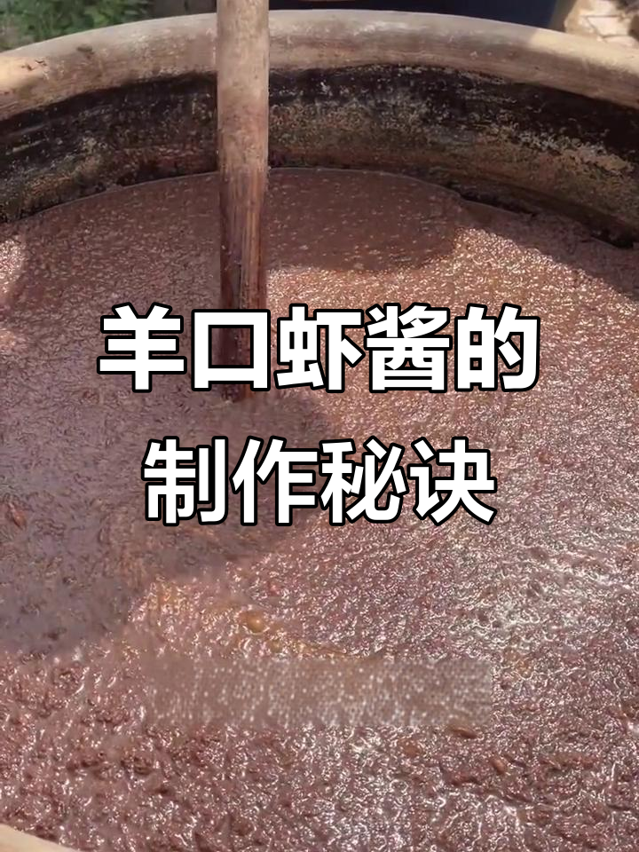 羊口虾酱的独特制作工艺,选材源自渤海湾与小清河交汇处