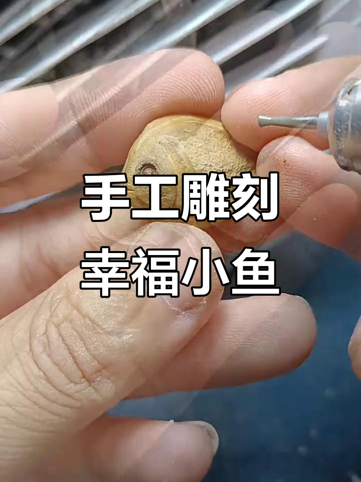 用杏核雕刻小鱼,简单又有趣的手工技艺