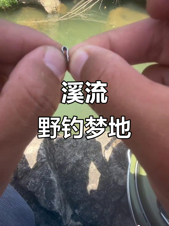 溪流钓天堂!石斑鱼自由轻松实现