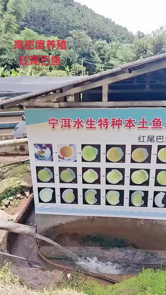 一看便知!什么才是特种水产的技术门道