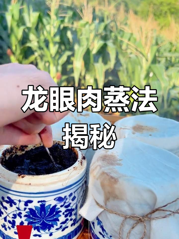 桂圆这样蒸,200年历史却鲜为人知!