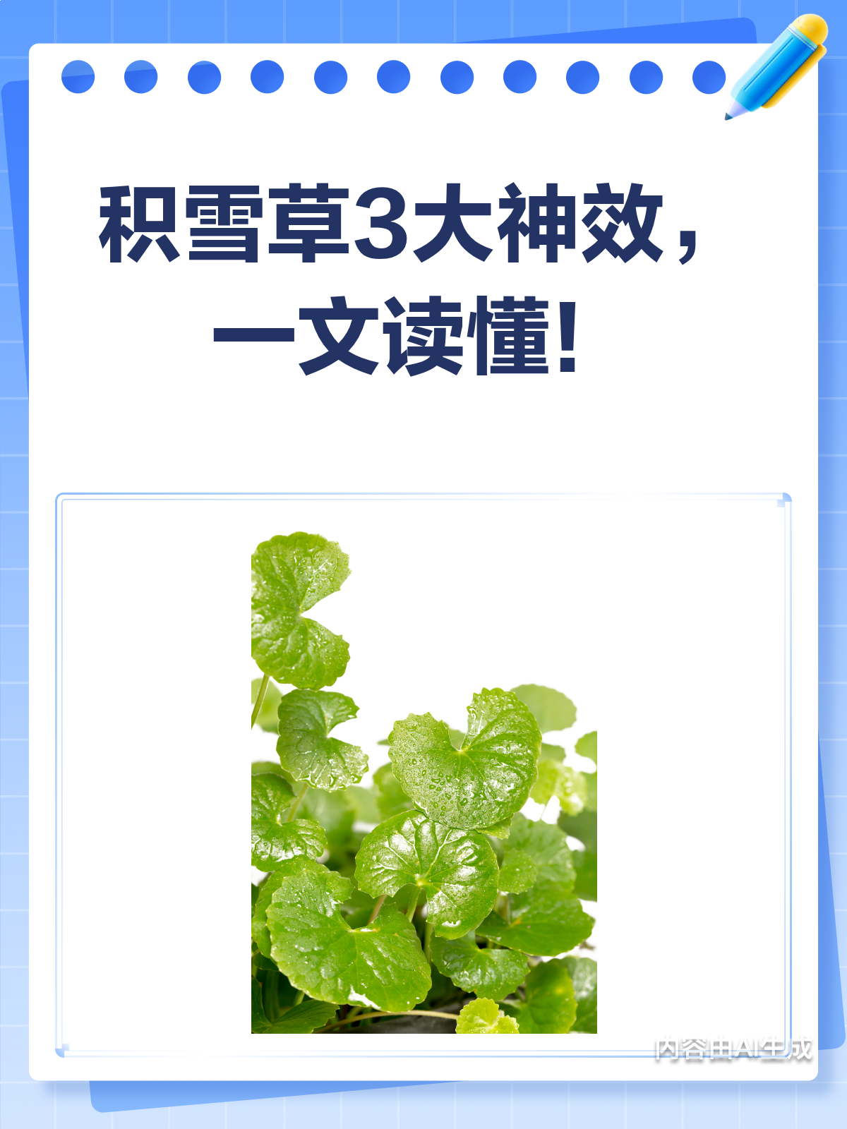 积雪草3大神奇功效,你知道几个?