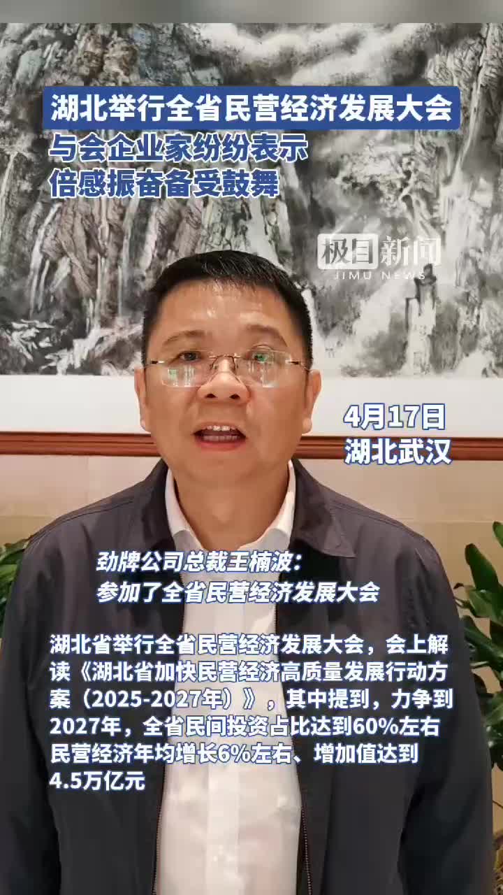 「视频」湖北省举行全省民营经济发展大会