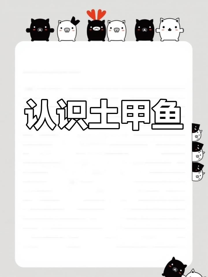 甲鱼品种大揭秘:土甲鱼的真相与水域分布