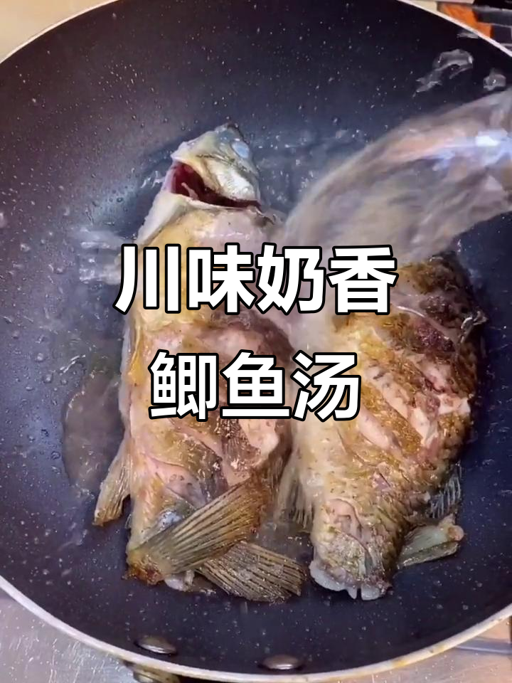 四川奶香鲫鱼汤,做法超简单又美味