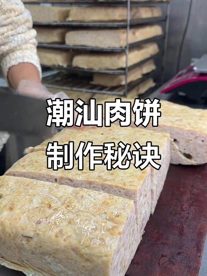 潮汕肉饼家常做法,鲜香满满,炒菜煎饭都美味