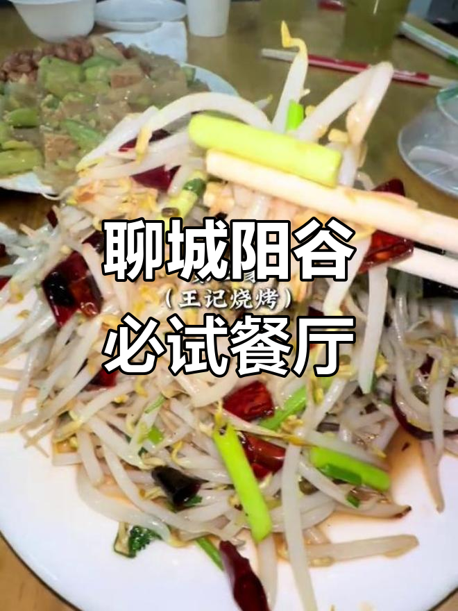 聊城阳谷美食大揭秘：川湘菜与北方风味全攻略