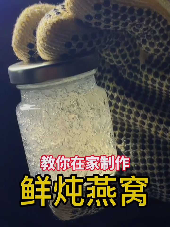 鲜炖燕窝制作方法|教你在家做鲜炖燕窝