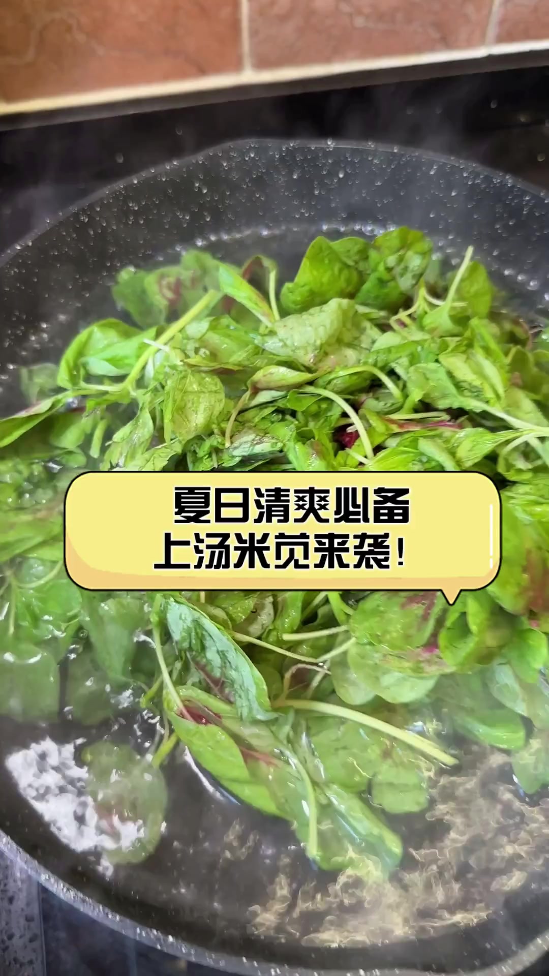 夏日清爽必备,上汤米苋来袭!