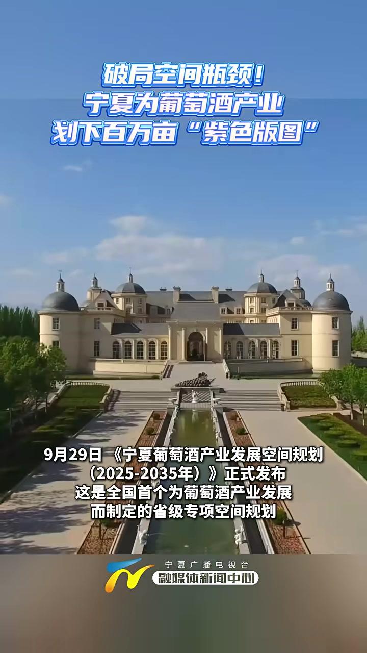 破局空间瓶颈!宁夏为葡萄酒产业划下百万亩“紫色版图” 宁夏 葡萄酒产业(记者:顾锐朱晶)9
