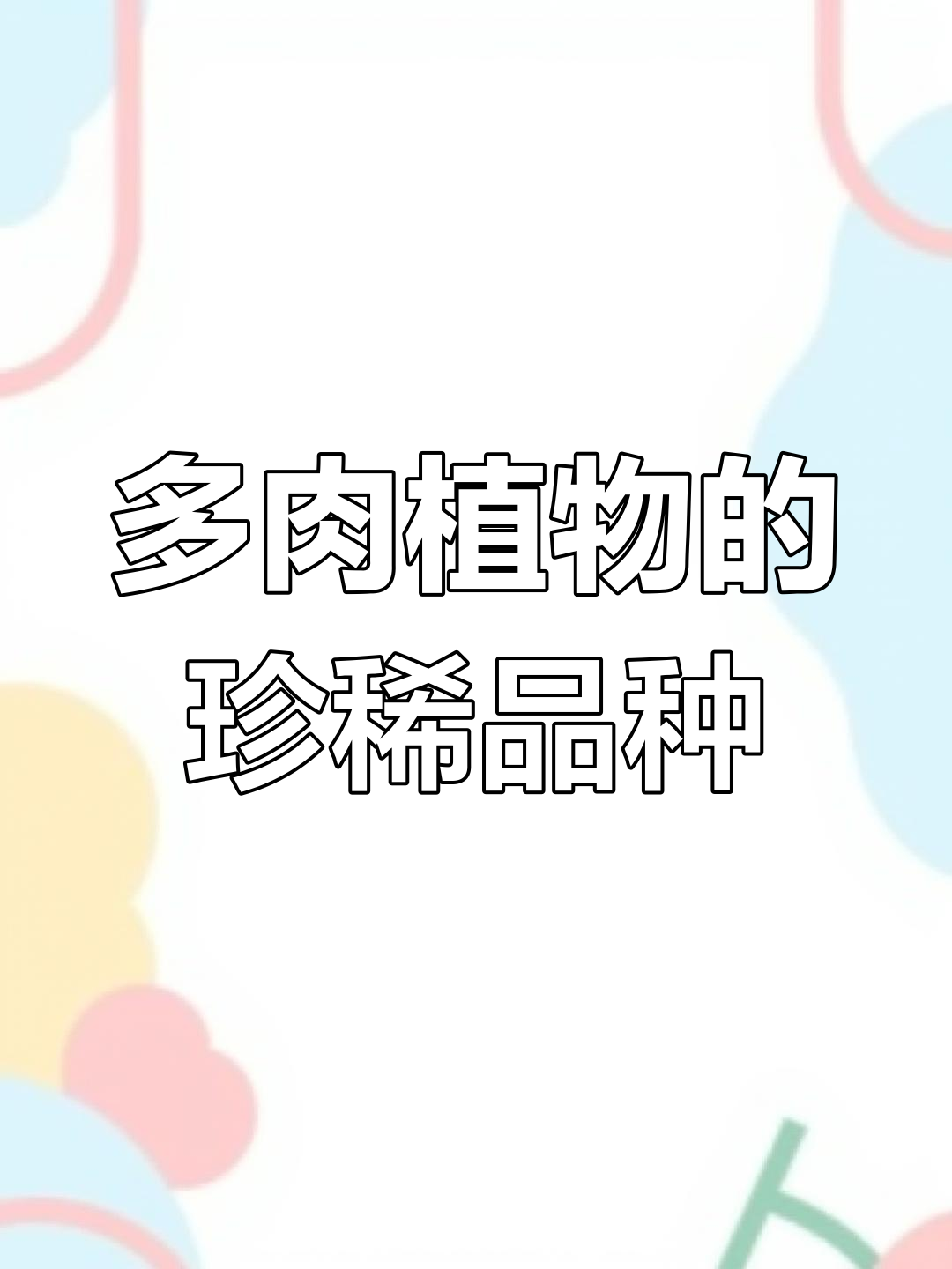 世界上最贵的多肉植物,看看这些你认识吗?