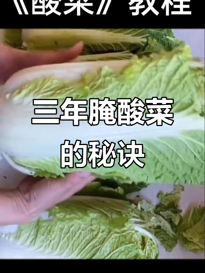 三年晒酸菜,轻松搞定不烂不发霉