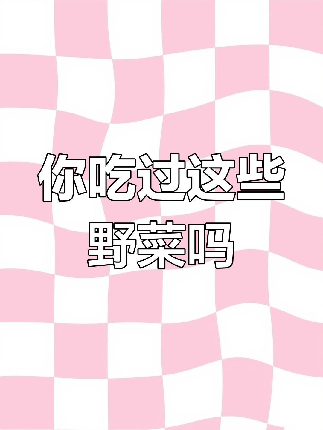 潮汕常见野菜大盘点