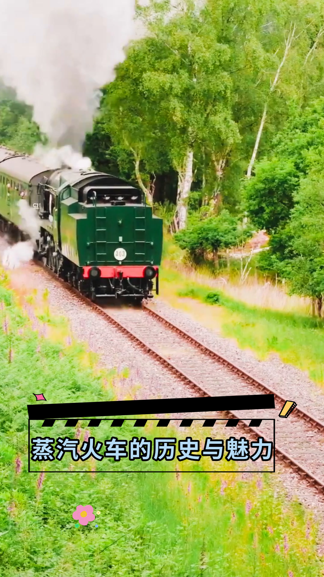 蒸汽火车的历史与魅力