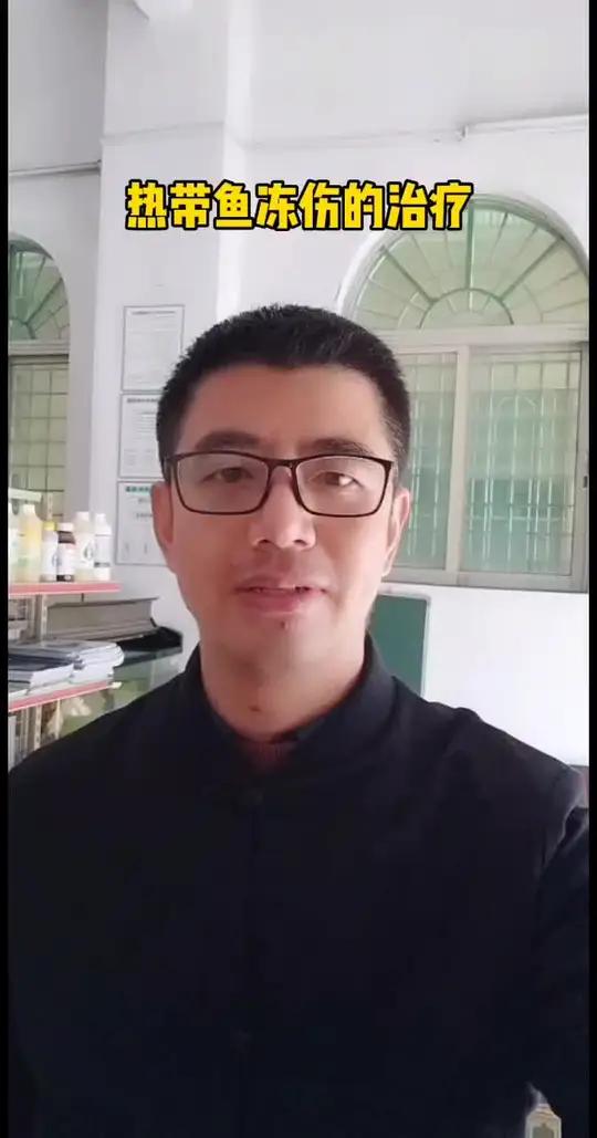 罗非鱼、淡水白鲳冻伤的治疗
