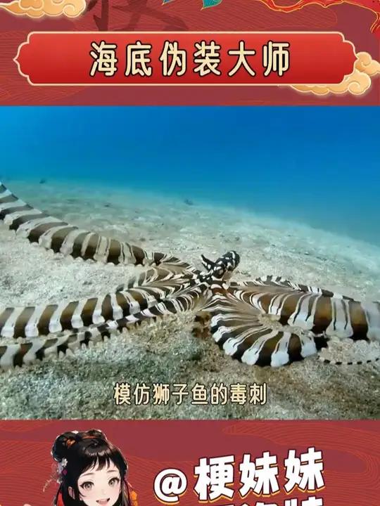 我要被拟态章鱼可爱鼠了