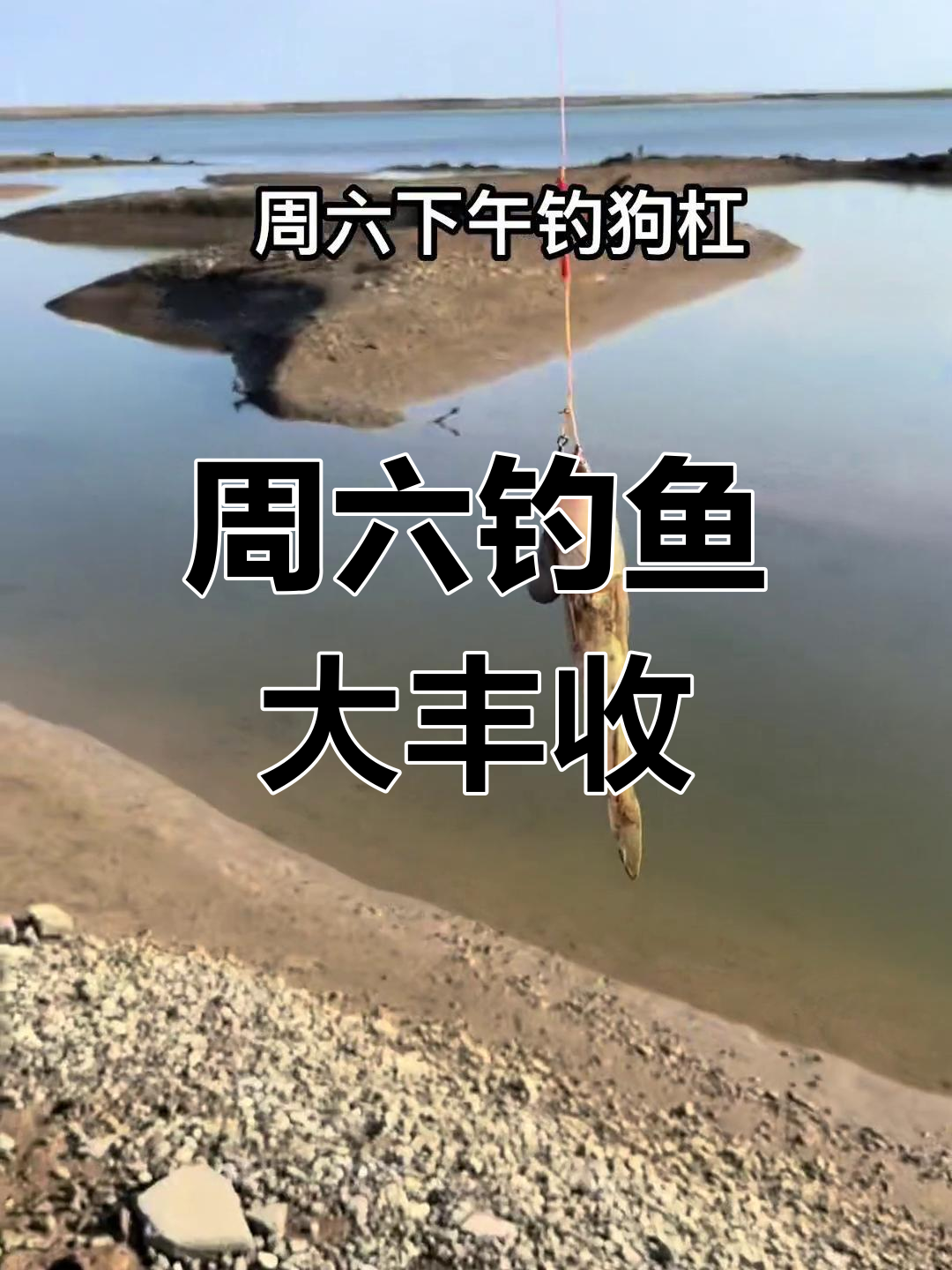 家长带钓鱼,三小时钓狗杠,收获不小!