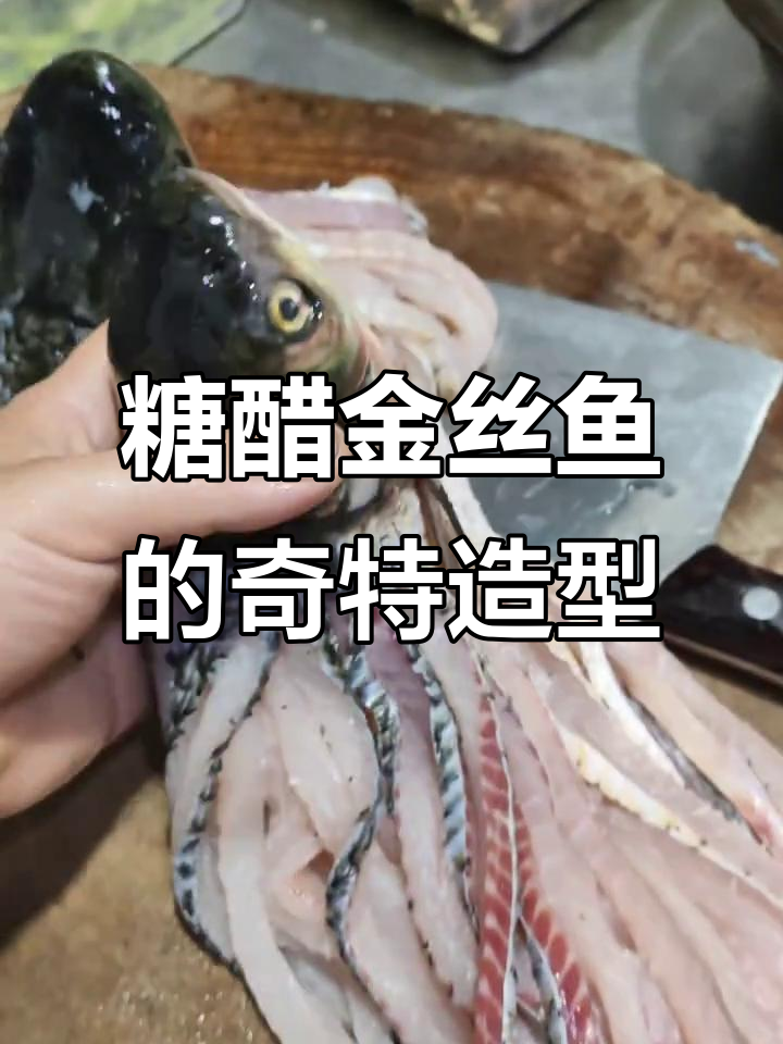 糖醋金丝鱼新做法,蛇头造型太独特了!