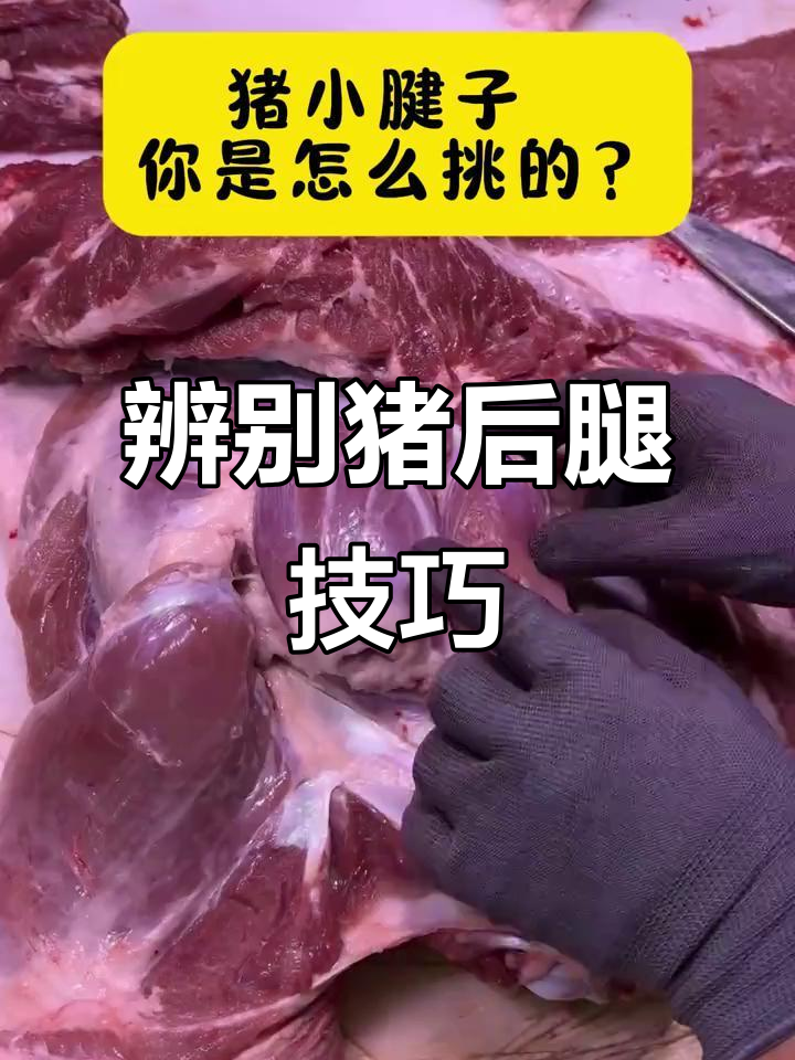 如何分辨猪肉前后腿,筋膜多不多?