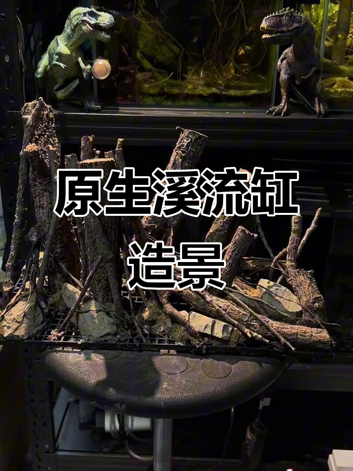 溪流缸造景大揭秘,打造自然虾虎栖息地