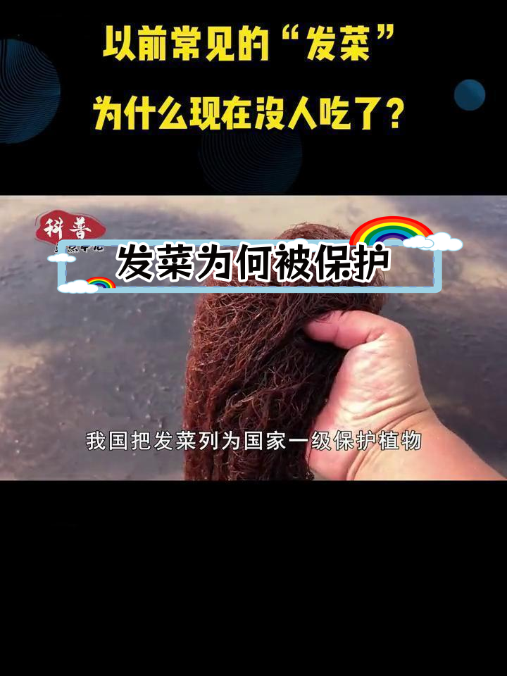 发菜为何从餐桌消失?