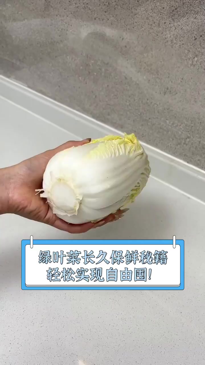 绿叶菜长久保鲜秘籍,轻松实现自由囤!