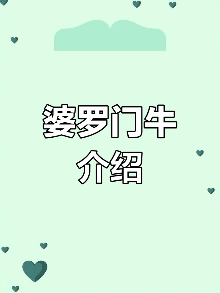 婆罗门牛:耐热抗虫,适合热带饲养的优质肉牛品种