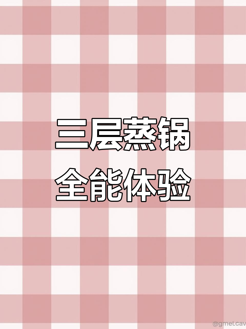 苏泊尔三层蒸锅，大容量多功能，炖煮一体方便实用