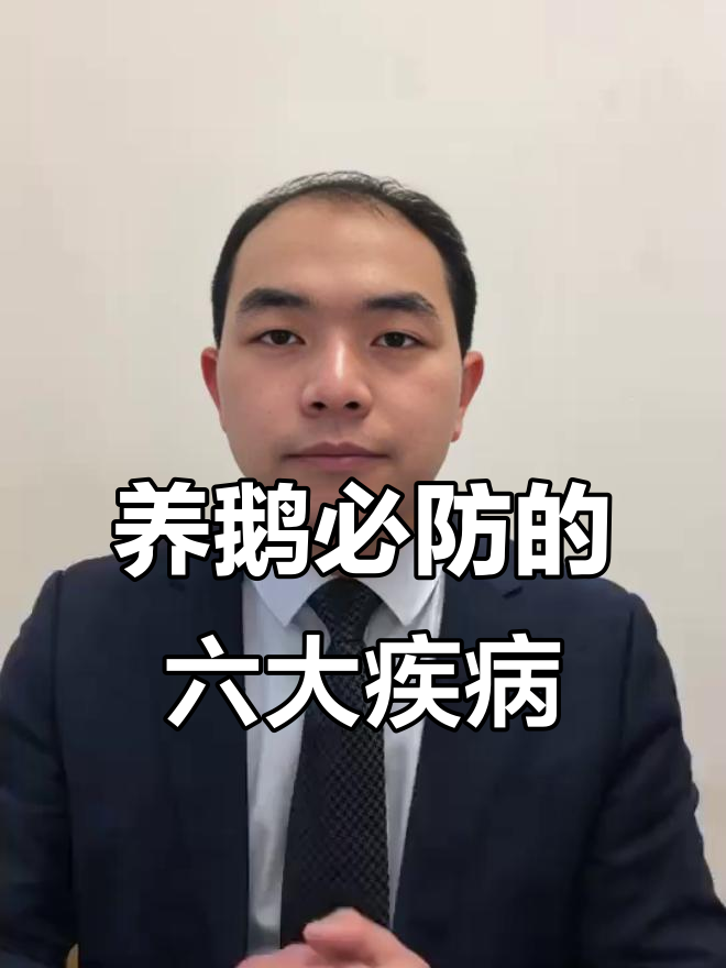 鹅病高发6种，预防措施全解析