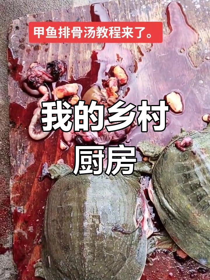 乡村生活日常:从水烤到炒排骨,全流程实拍