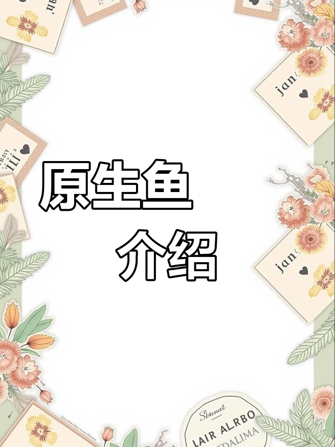 鳑鲏:原生鱼百科揭秘