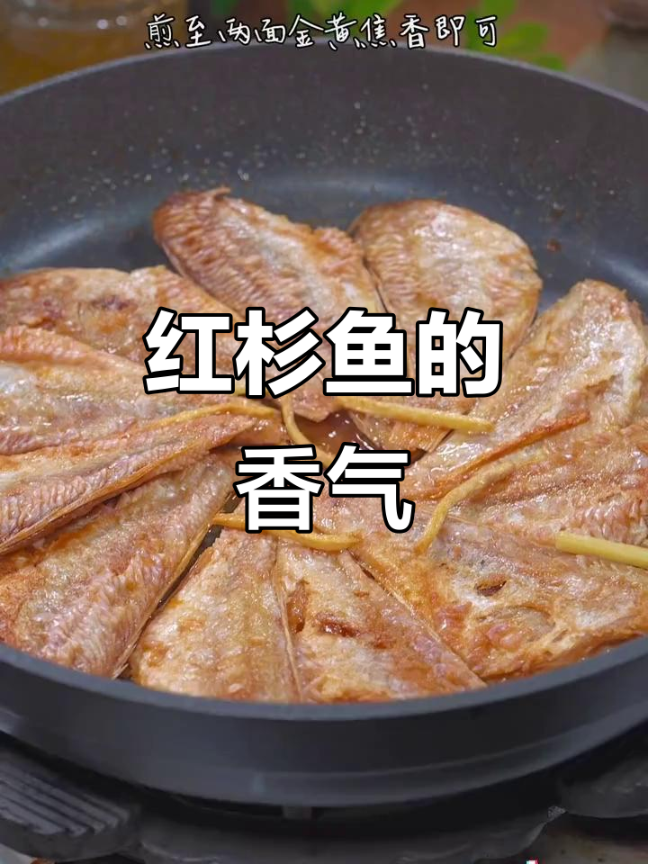 湛江红杉鱼,香煎美味,肉嫩刺少,配饭粥绝佳!