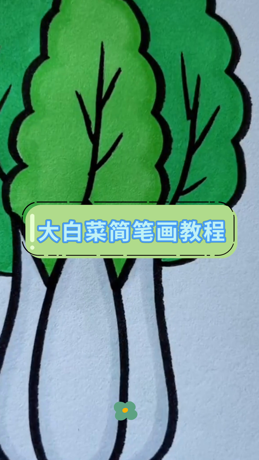 大白菜简笔画教程