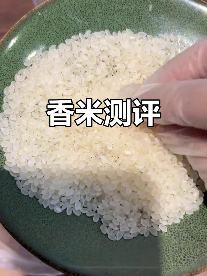 山姆香米性价比高,四元一斤值得尝试