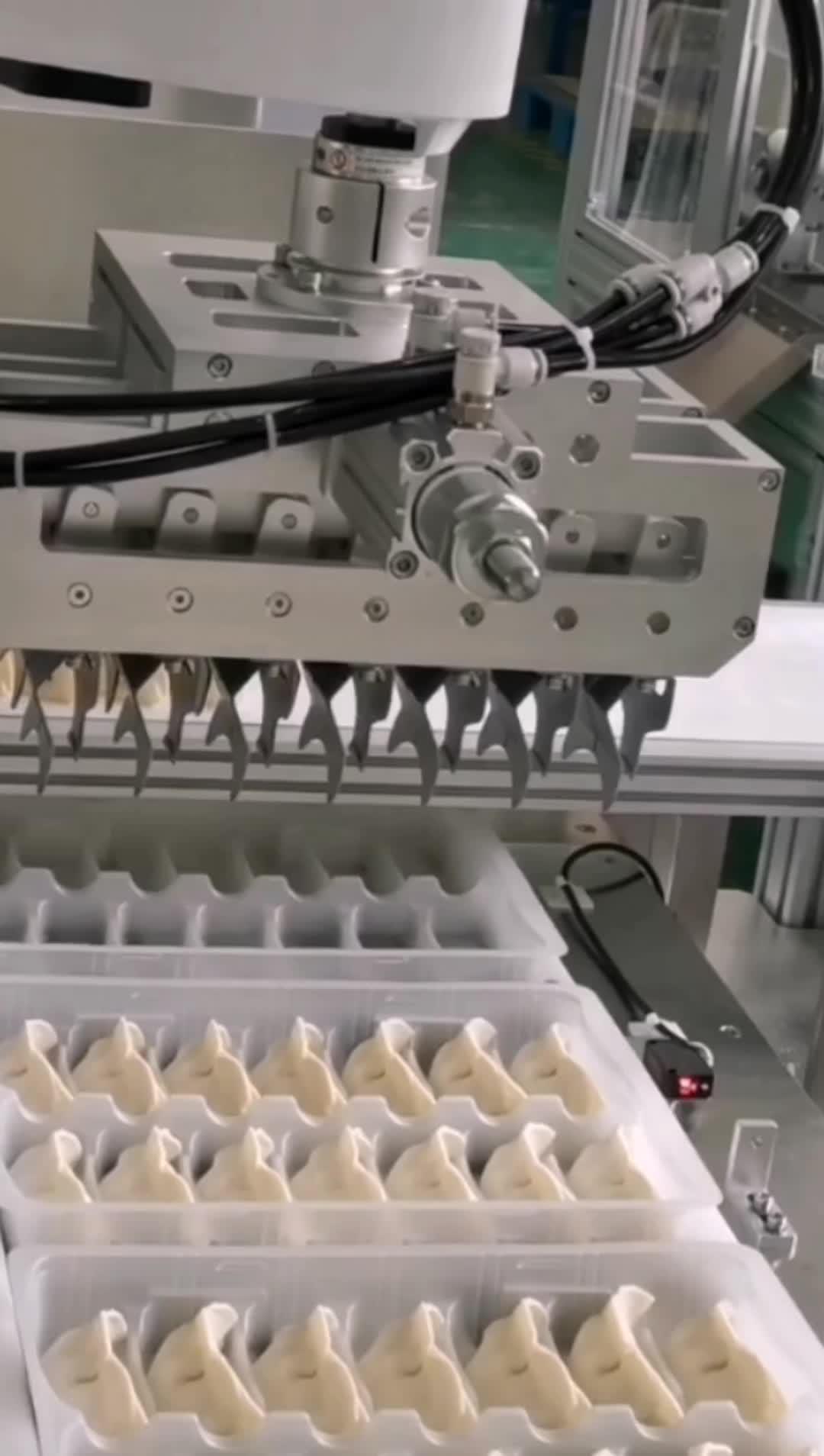 自动化生产线 摆盘机 饺子 锅贴 包饺子神器