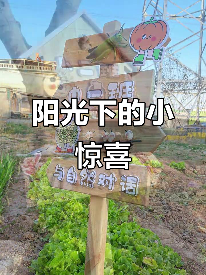 阳光下的菜园指示牌，孩子们见了都爱不释手！
