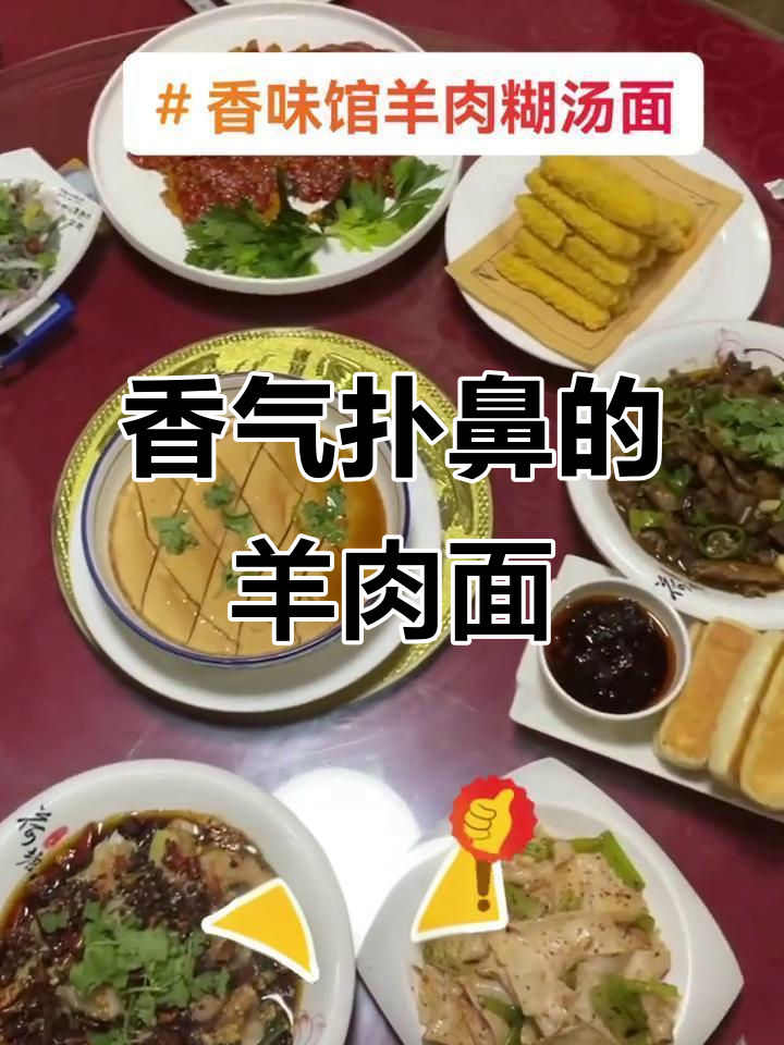 香味馆羊肉糊汤面,回头客超多!白菜一汤加主食分量足