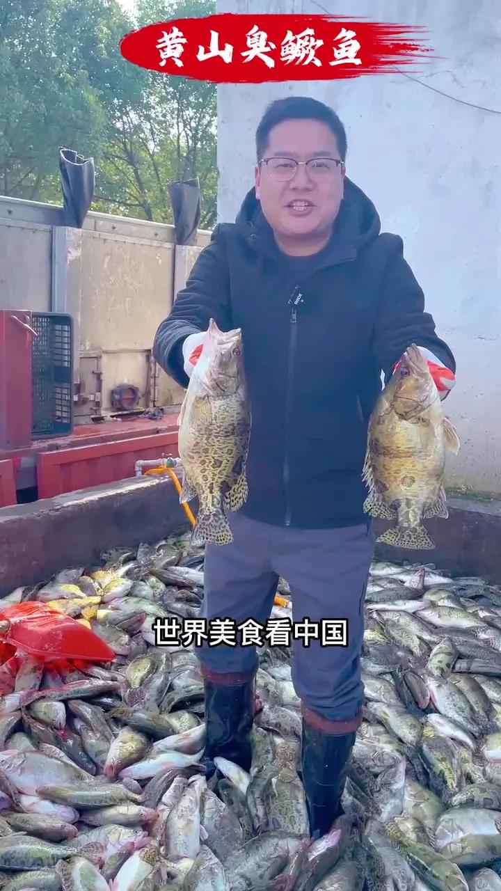 世界美食看中国,中国美食看安徽,安徽美食看臭鳜鱼