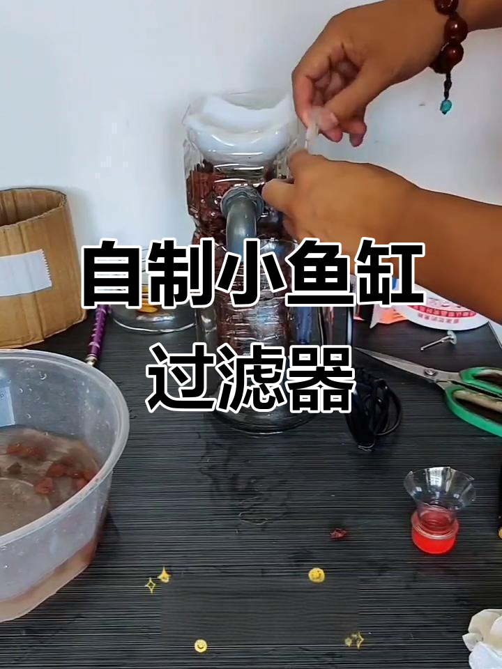 罐头瓶变鱼缸,DIY过滤系统超低成本