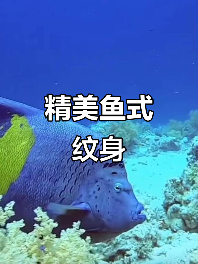 鱼纹身设计惊艳,细节满满!