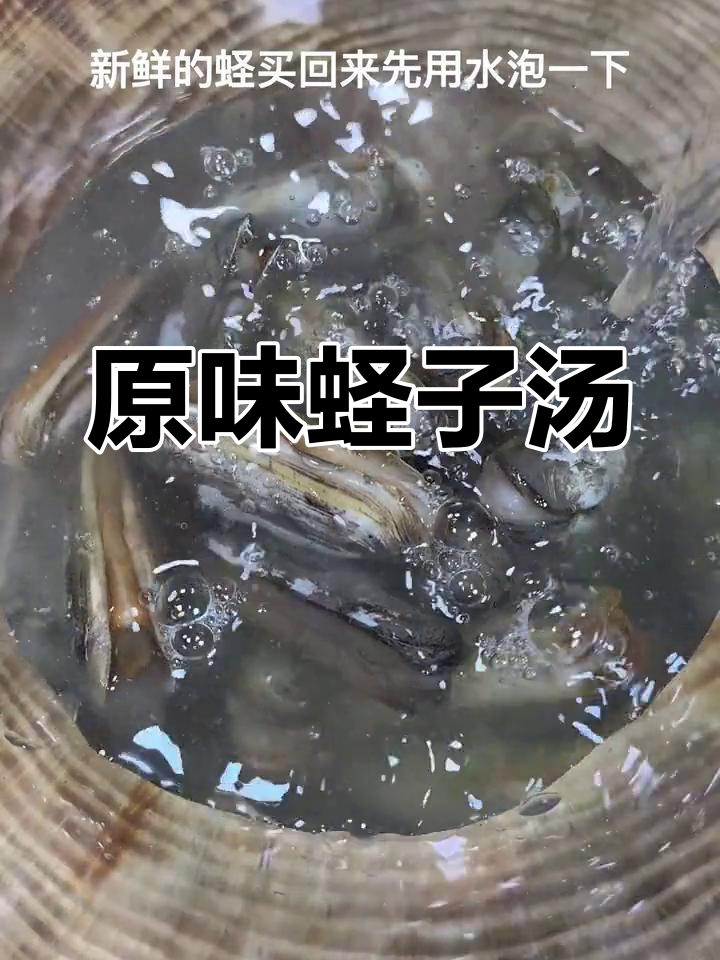 新鲜蛏子汤,原汁原味鲜美至极