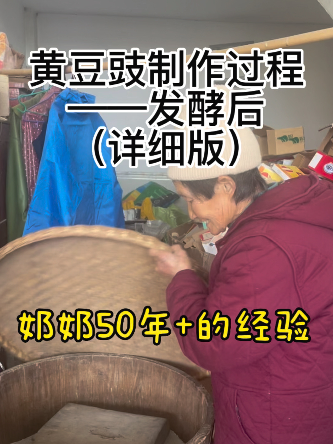黄豆豉制作过程|(发酵后)