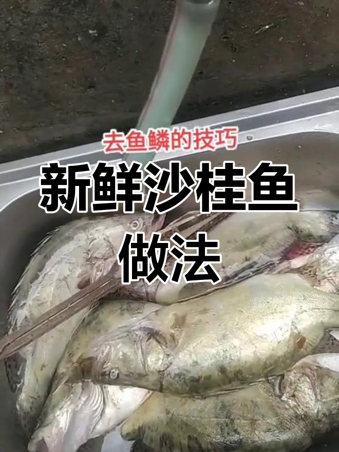 微山沙桂鱼制作技巧,轻松学会
