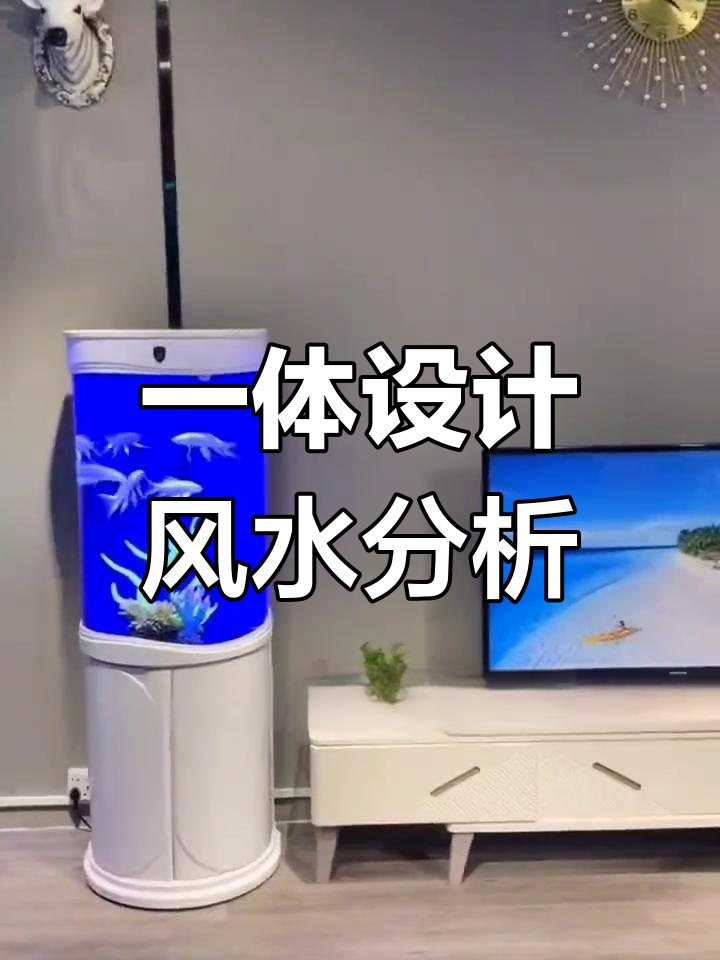 电视柜与鱼缸风水搭配解析