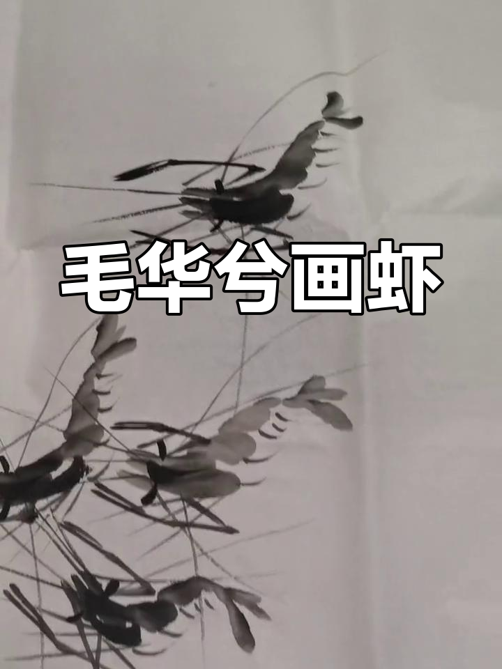 齐白石弟子毛华兮的虾趣图解析